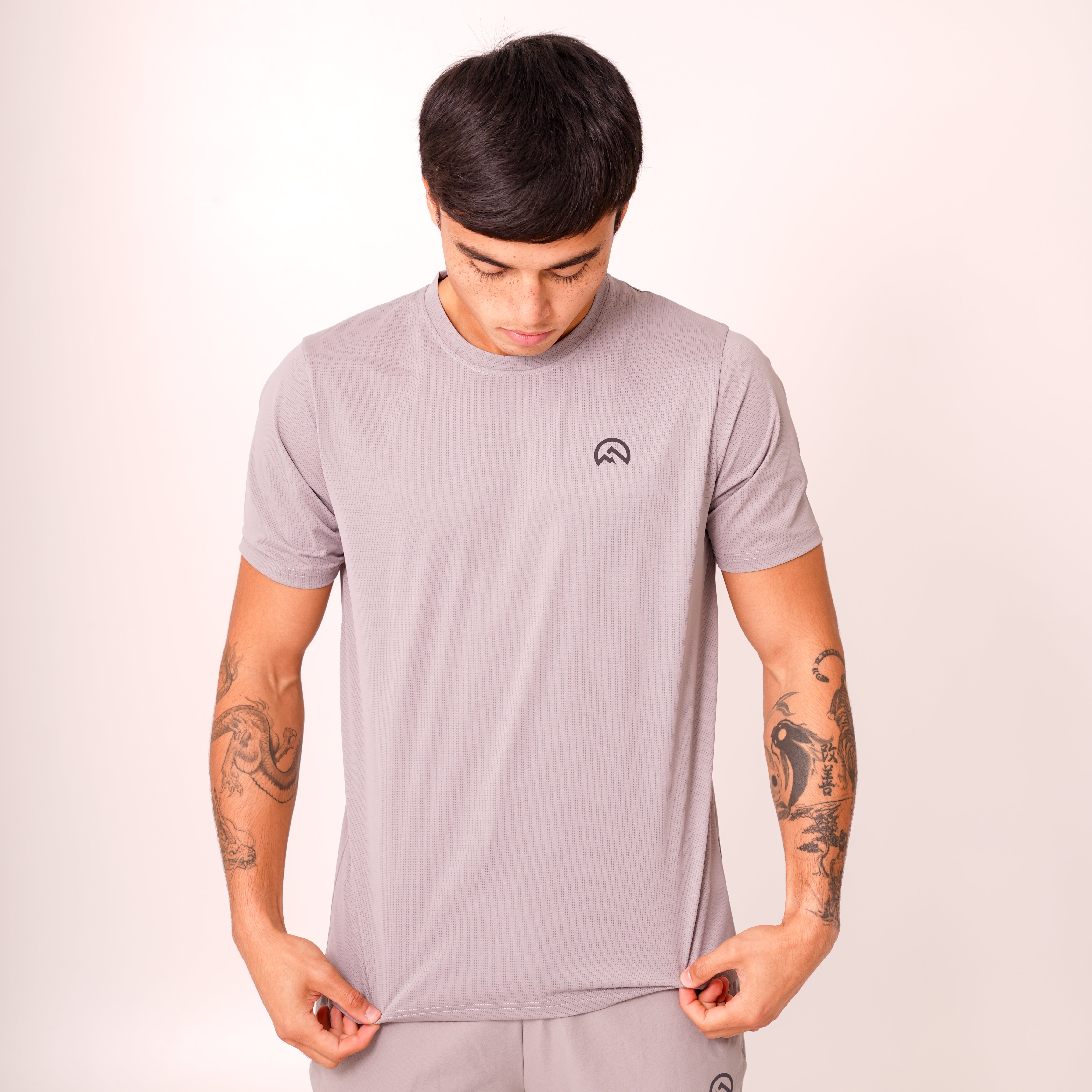Flux chest logo t-shirt 'concrete' AW25
