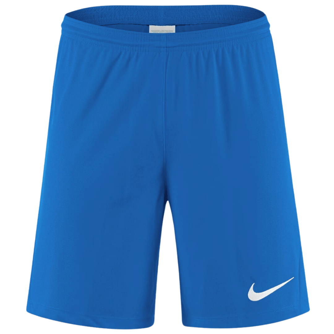 Nike park dri-fit shorts 'royal blue'