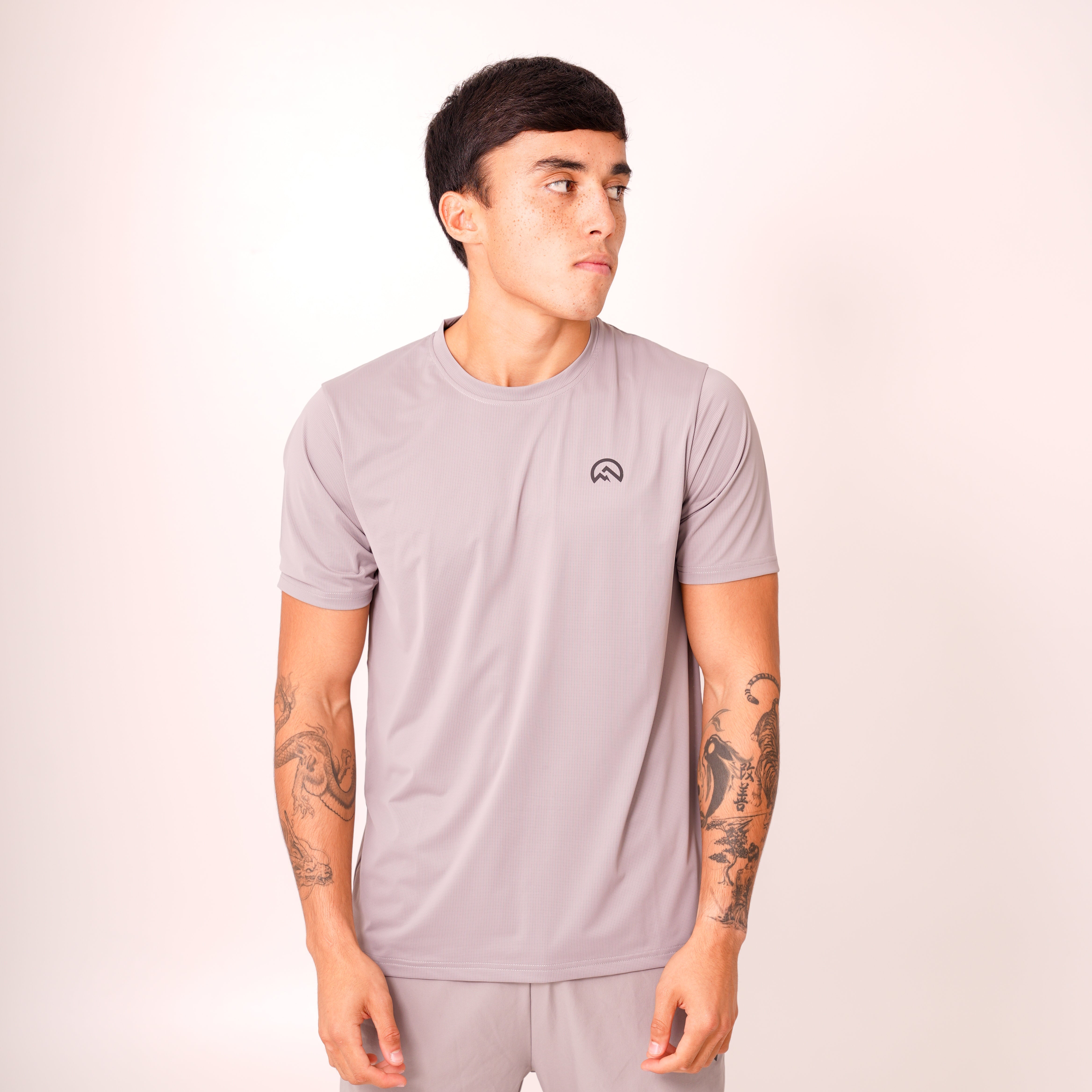 Flux chest logo t-shirt 'concrete' AW25